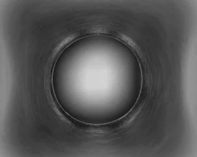 X0000086010625200703301011