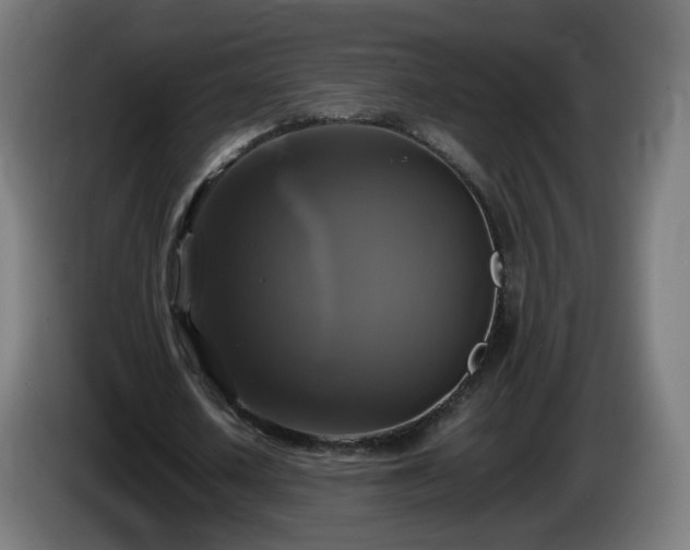 X0000086010626200703301011