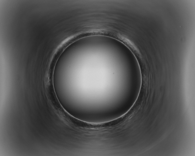 X0000086010628200703301011