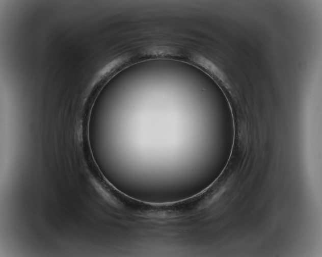 X0000086010629200703301011