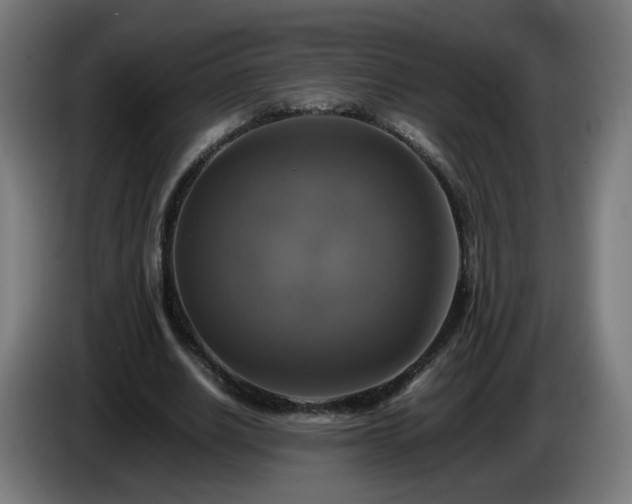 X0000086010630200703301011