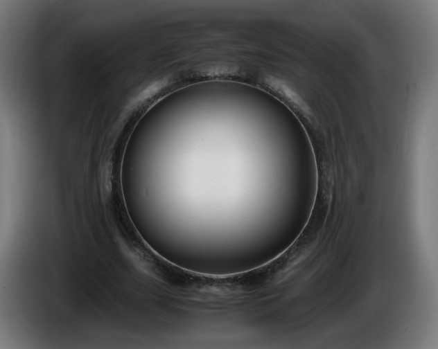 X0000086010631200703301011