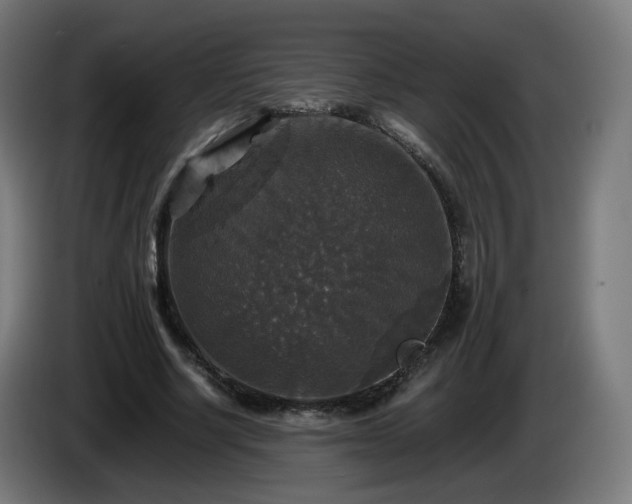 X0000086010634200703301011