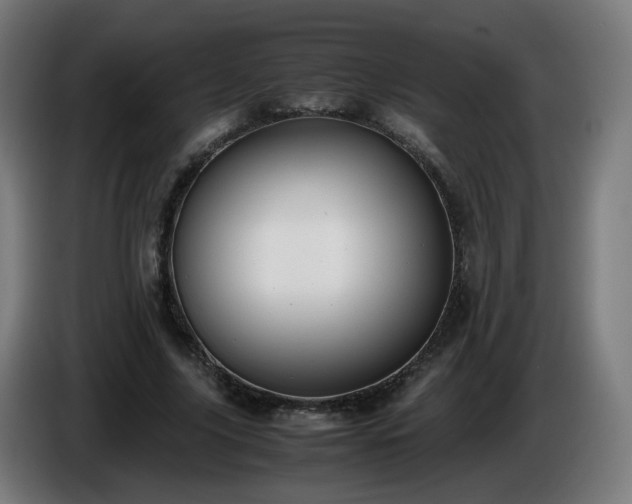 X0000086010635200703301011