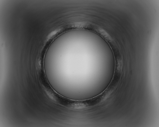 X0000086010636200703301011