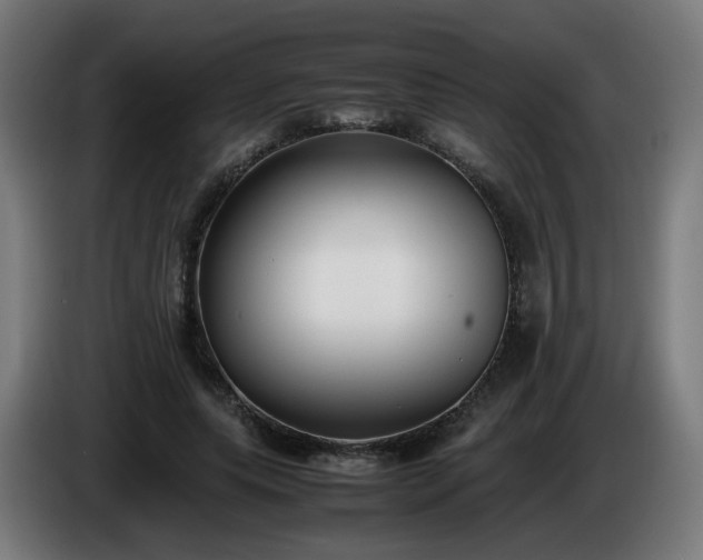 X0000086010639200703301011