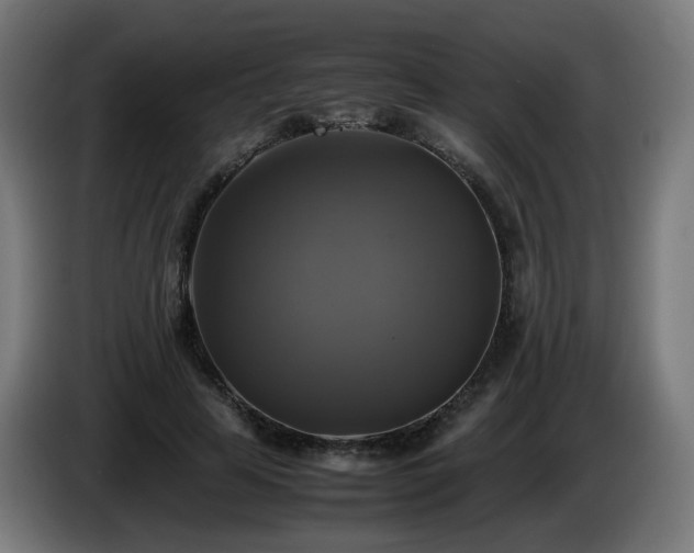 X0000086010641200703301011