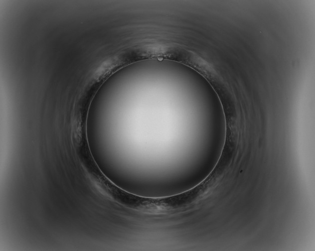 X0000086010642200703301011