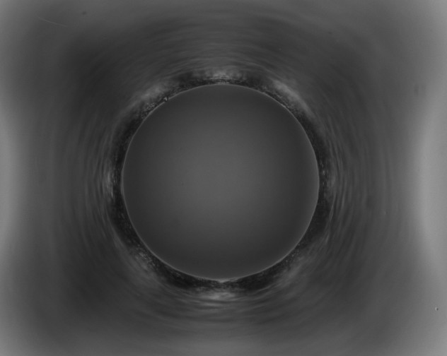 X0000086010643200703301011