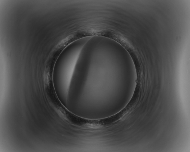 X0000086010644200703301011