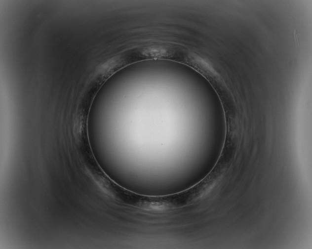 X0000086010645200703301011