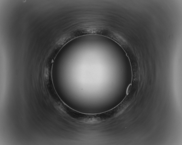 X0000086010646200703301011