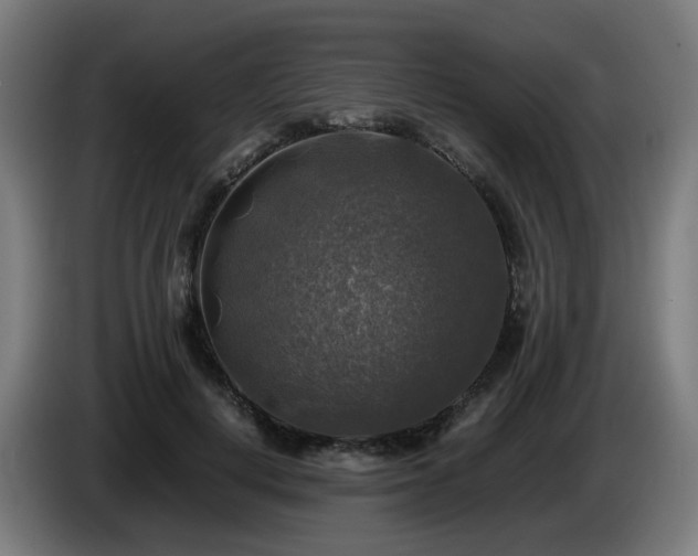 X0000086010648200703301011