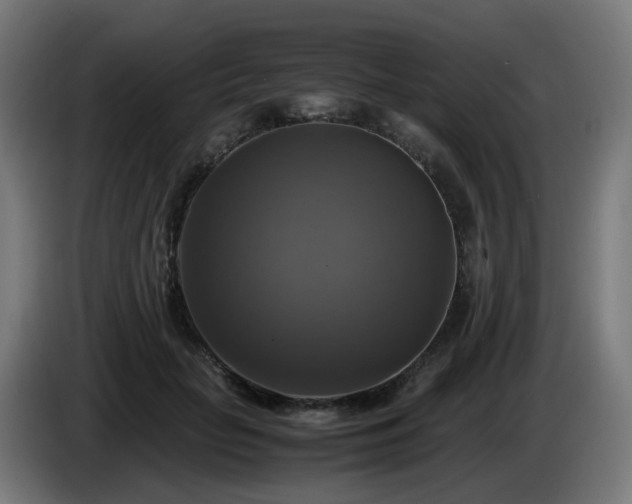 X0000086010653200703301011