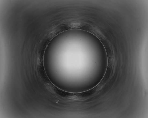 X0000086010655200703301011