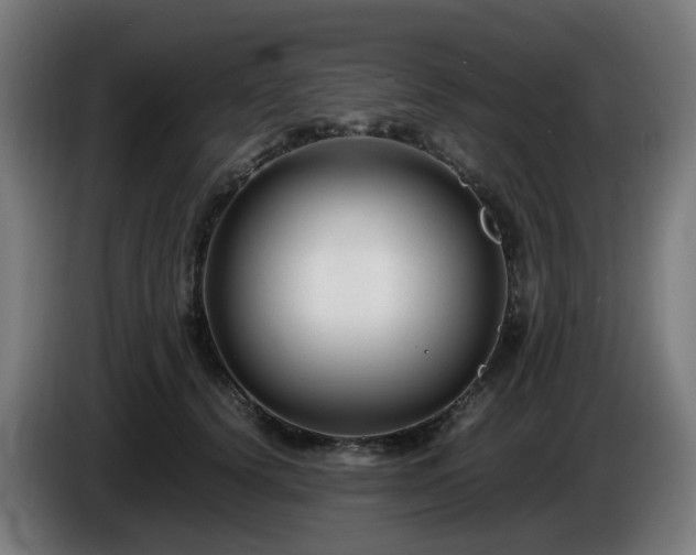 X0000086010656200703301011