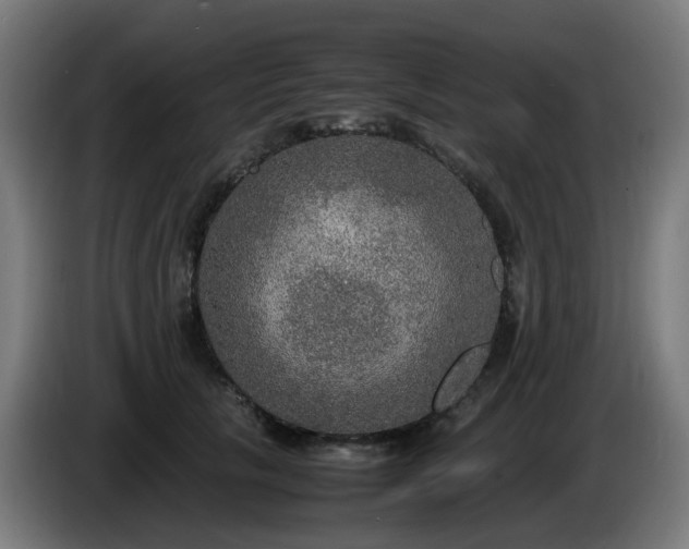 X0000086010657200703301011