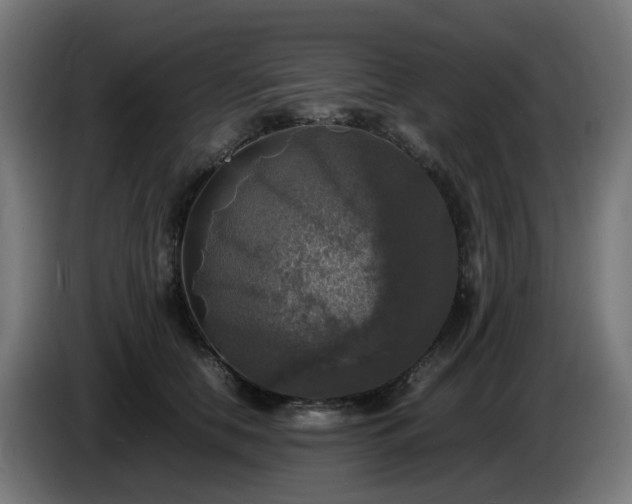 X0000086010658200703301011
