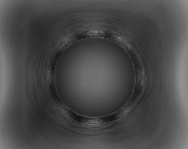 X0000086010659200703301011