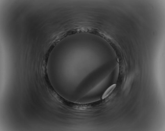 X0000086010661200703301011
