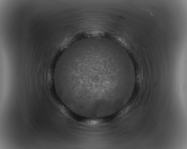 X0000086010662200703301011