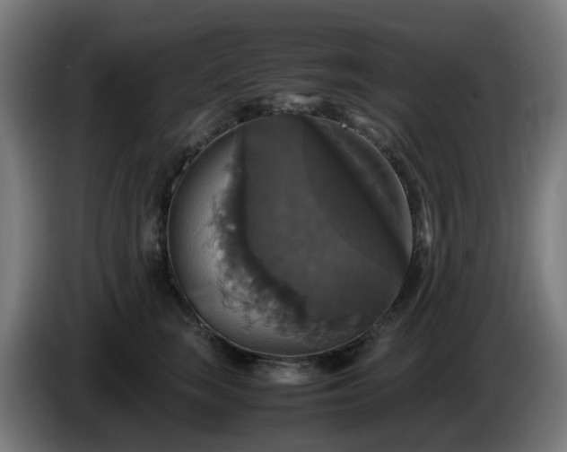 X0000086010663200703301011
