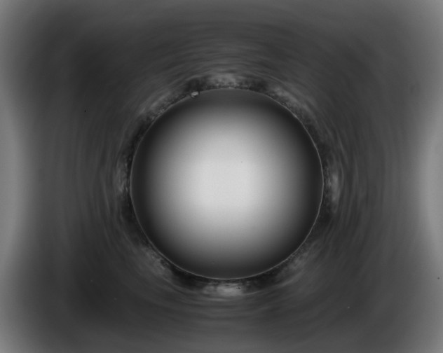 X0000086010665200703301011