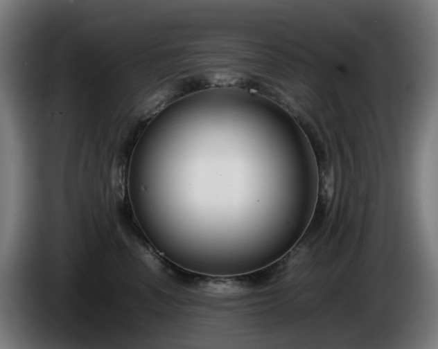 X0000086010666200703301011