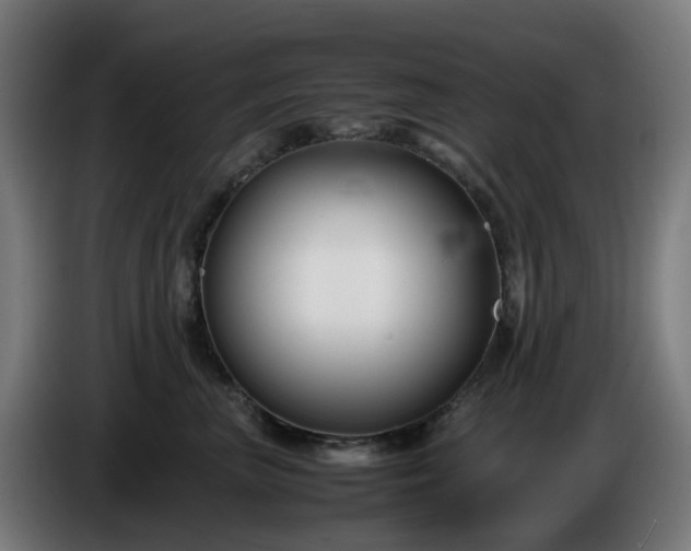 X0000086010667200703301011