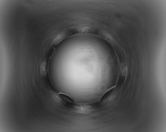 X0000086010670200703301011