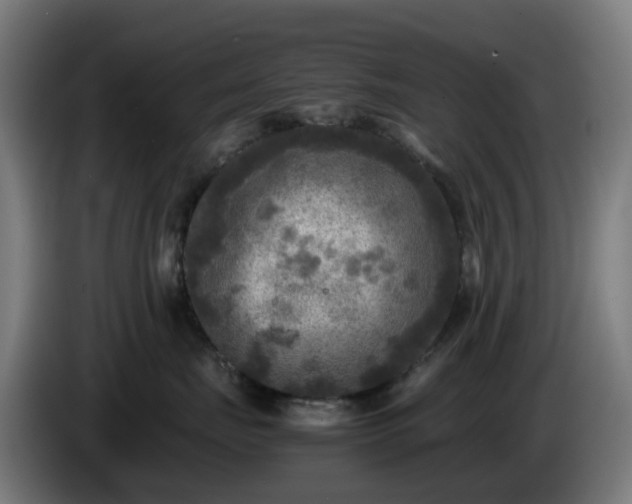X0000086010671200703301011