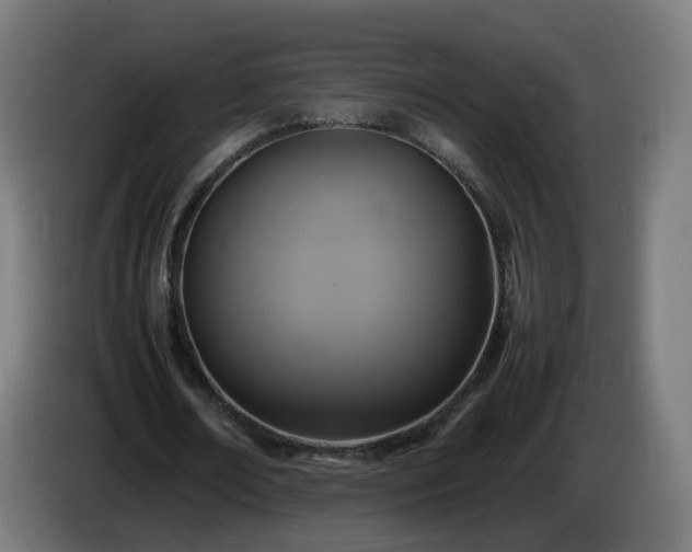 X0000086010674200703301011