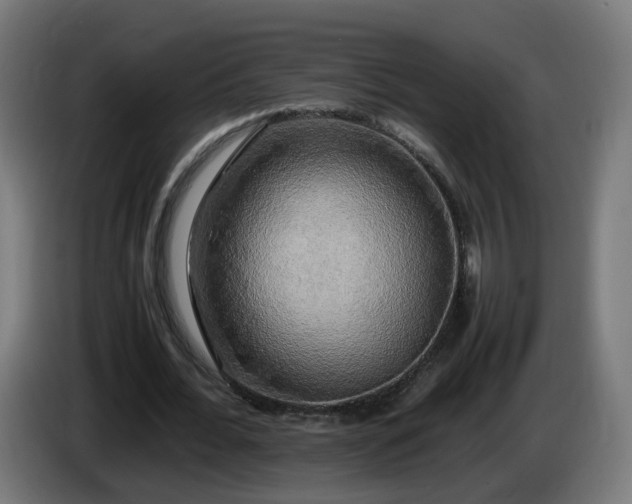 X0000086010676200703301011