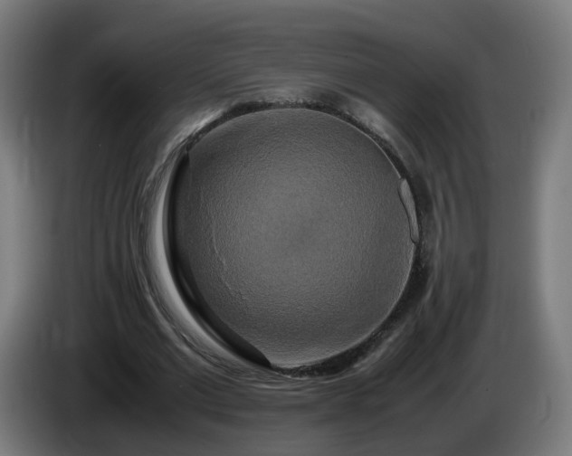 X0000086010677200703301011