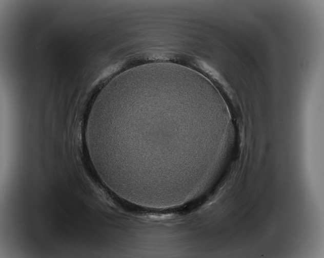 X0000086010681200703301011