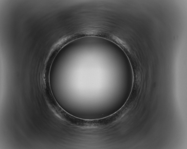 X0000086010682200703301011