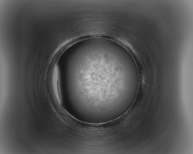 X0000086010684200703301010