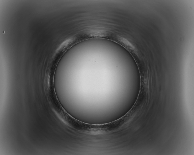 X0000086010686200703301010