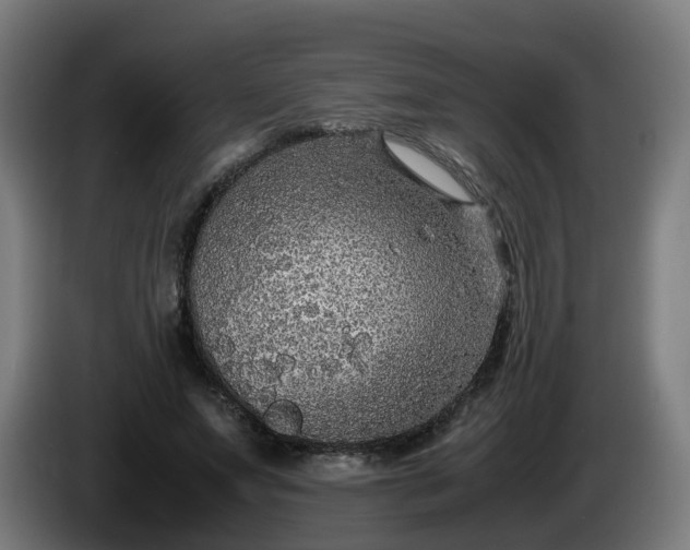 X0000086010687200703301010