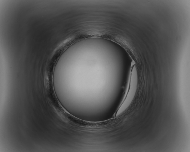 X0000086010688200703301010