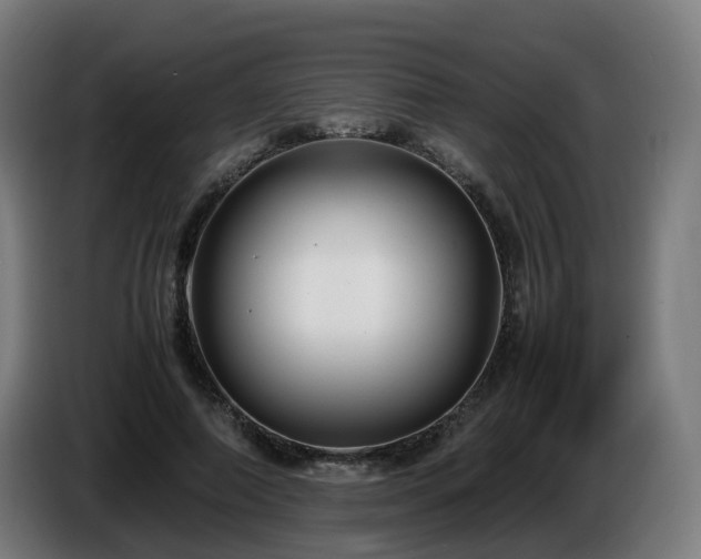 X0000086010690200703301010