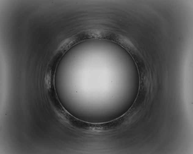 X0000086010694200703301010