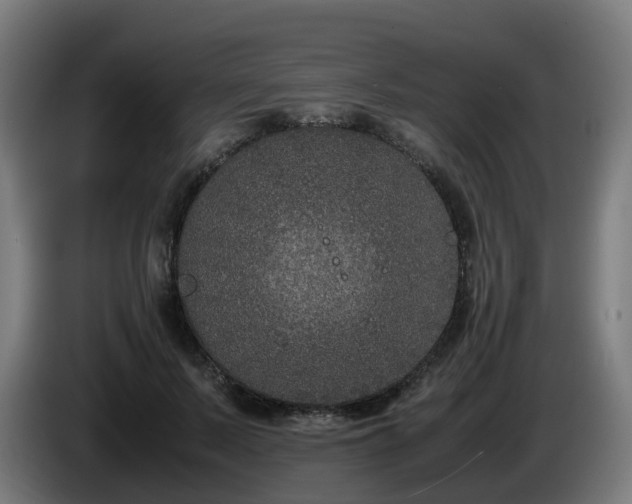 X0000086010695200703301010
