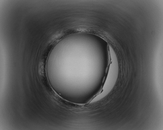 X0000086010696200703301010