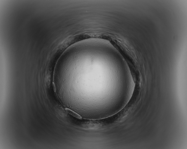 X0000086010697200703301010