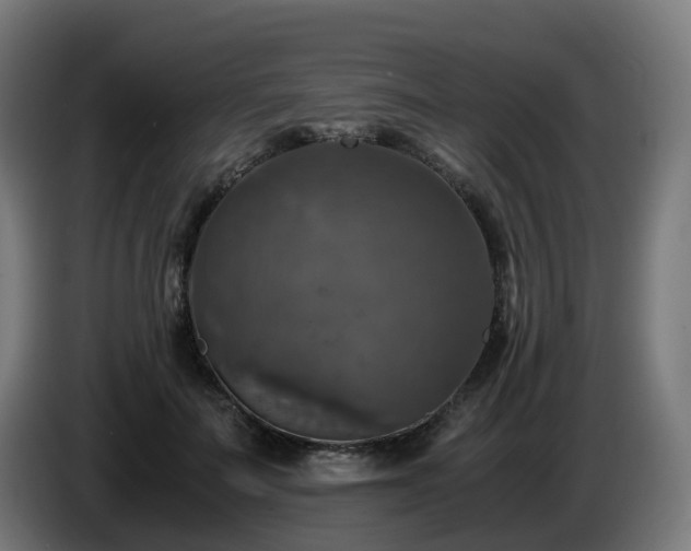 X0000086010699200703301010