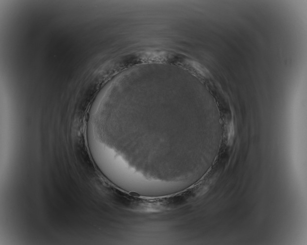 X0000086010701200703301010