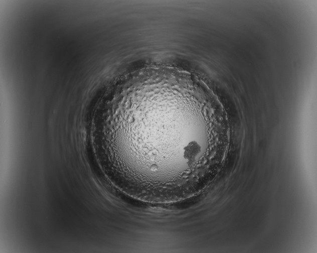 X0000086010703200703301010