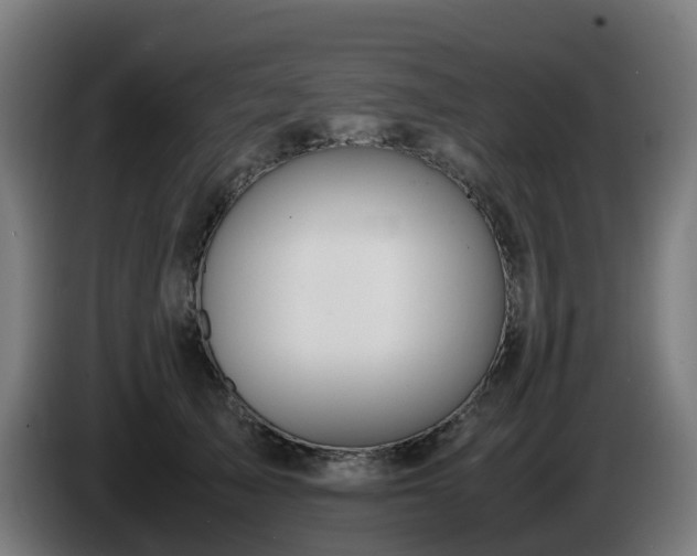 X0000086010705200703301010