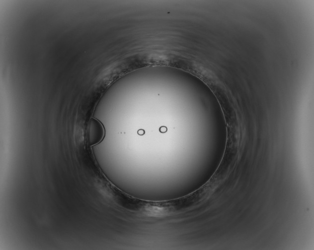 X0000086010706200703301010